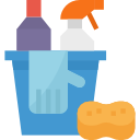 Cleaning Service